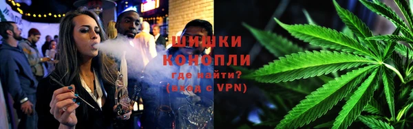 сатива Абдулино