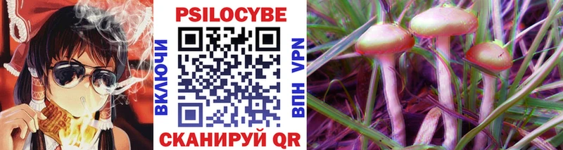 купить наркоту  Камень-на-Оби  OMG маркетплейс  Псилоцибиновые грибы Cubensis 