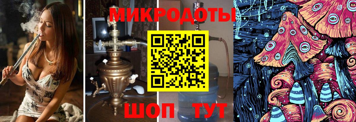 Галлюциногенные грибы Psilocybe Камень-на-Оби