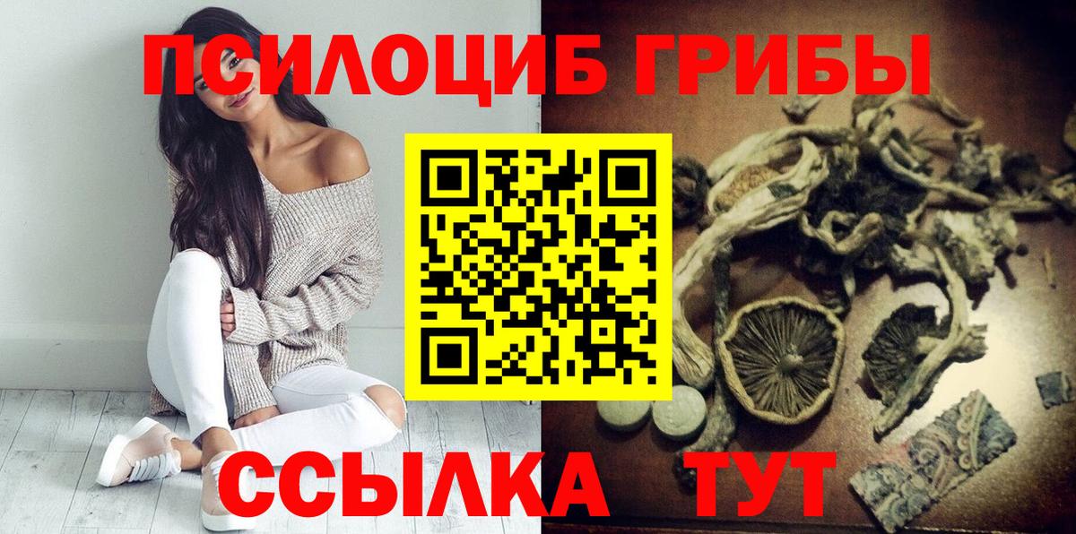 Псилоцибиновые грибы GOLDEN TEACHER  Вход с VPN  Камень-на-Оби 